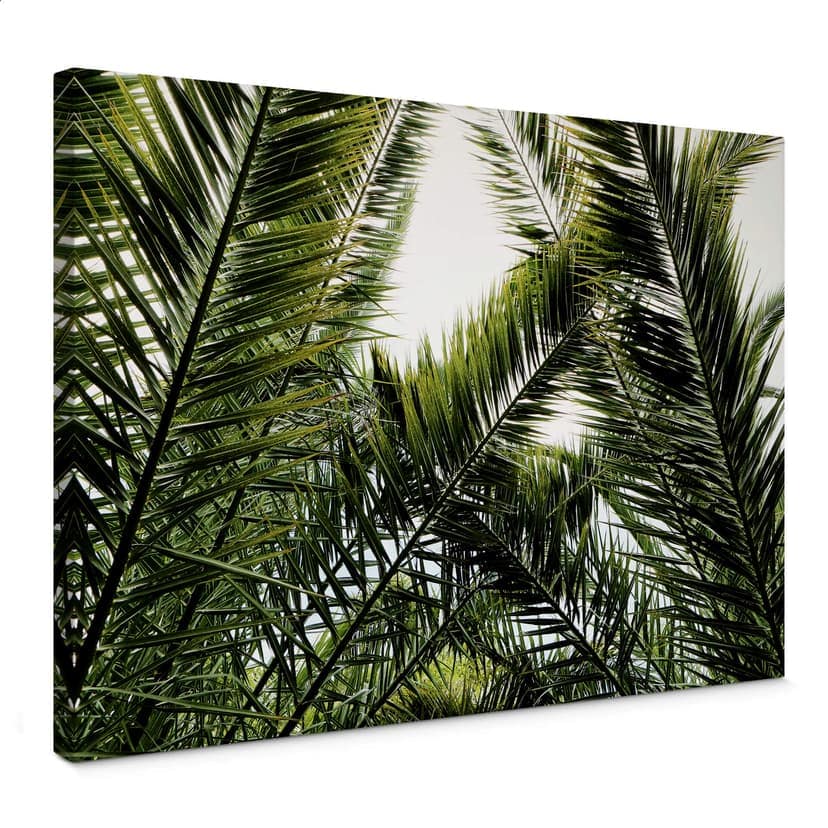 Canvastavla dadelpalm