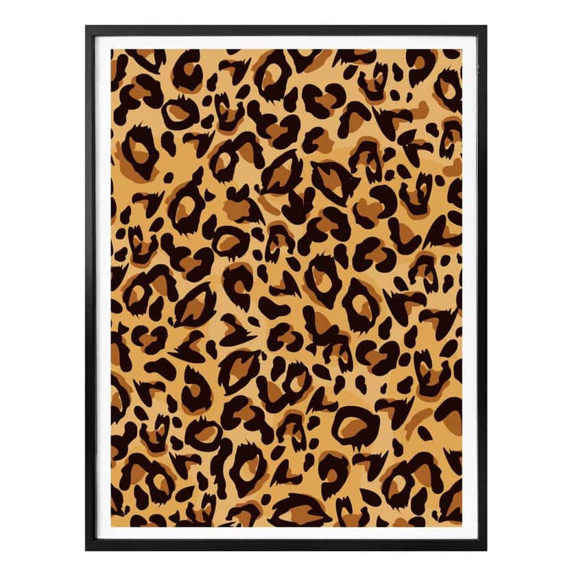 Poster Leopard - Prov