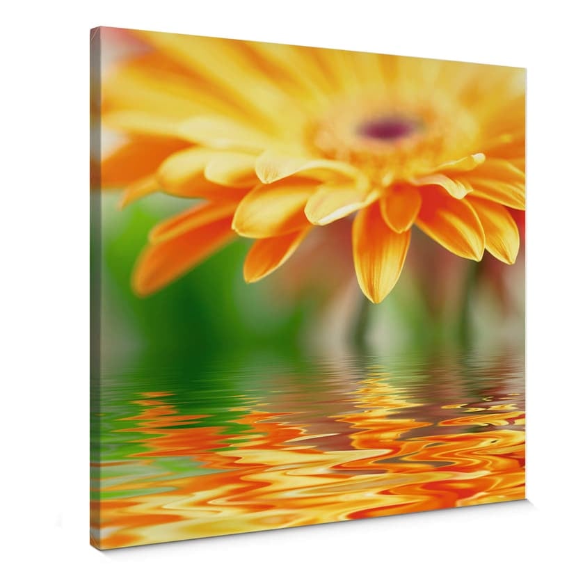 Canvastavla gerbera reflektion