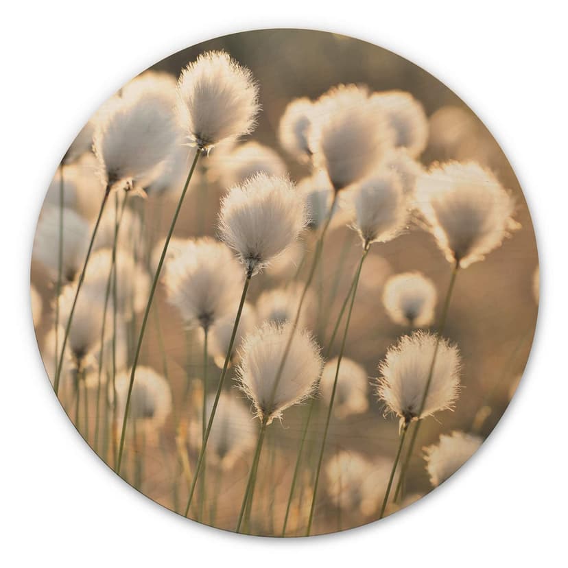 Delgado Trätavla - Meadow magic - Rund