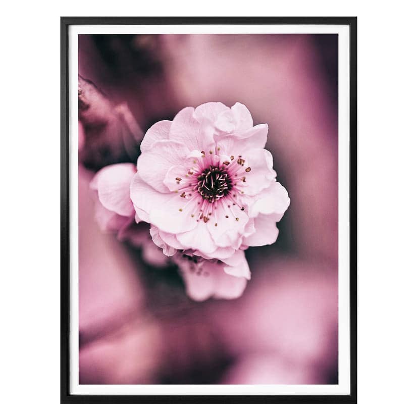 Poster Blossom splendour - detalj