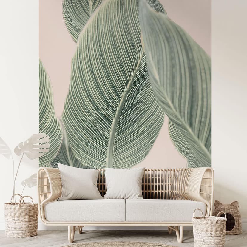 Fototapet för Calathea-växter - Sisi & Seb