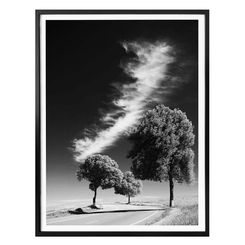 Poster Silver Linings