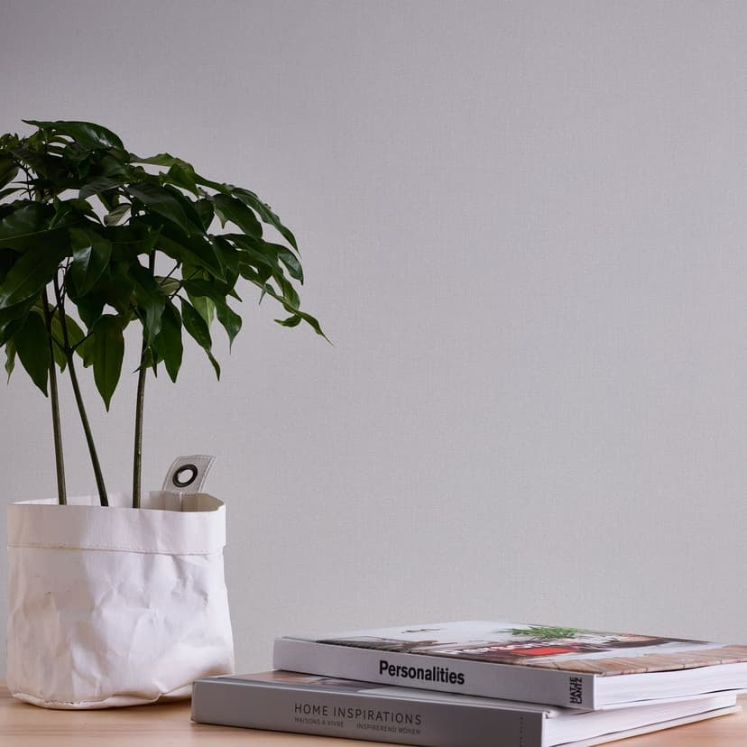 Non-woven tapet grå slät monokrom tapet modern enhet tapet tyg look A.S. Création
