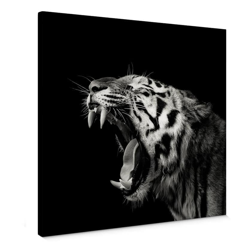 Canvastavla Meermann - Tigern - fyrkantig