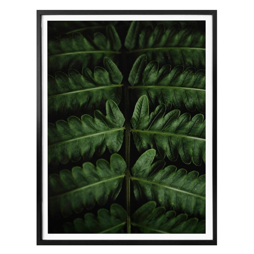 Poster Botanical 02