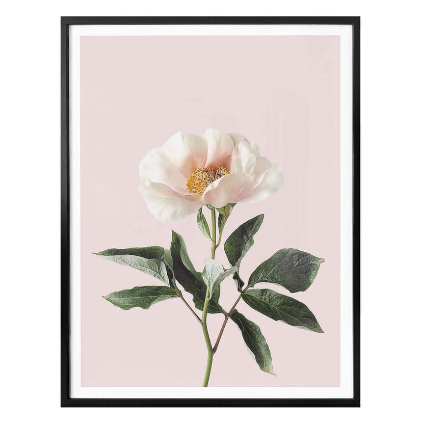 Poster Sisi & Seb - Delicate