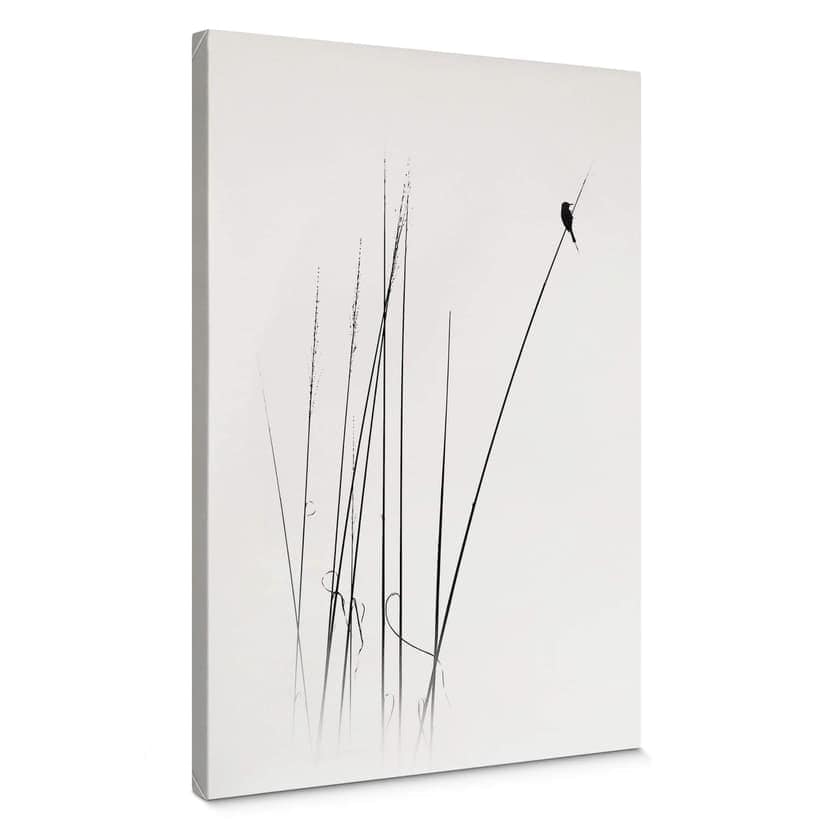 Canvastavla Swapnil - Time out