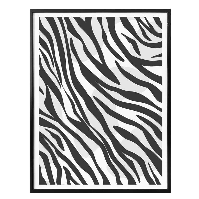 Poster Zebra - Prov