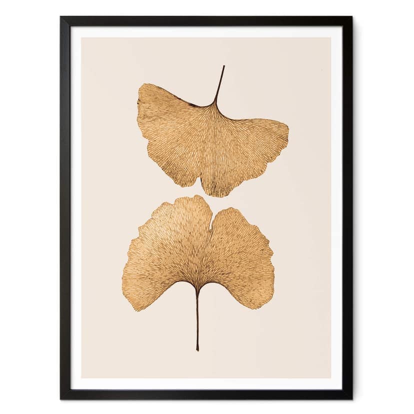 Poster Lenka - Ginkgo