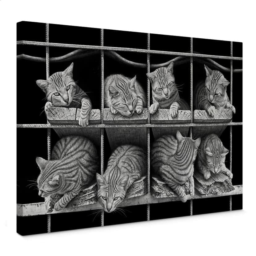 Canvastavla Heine - Katten