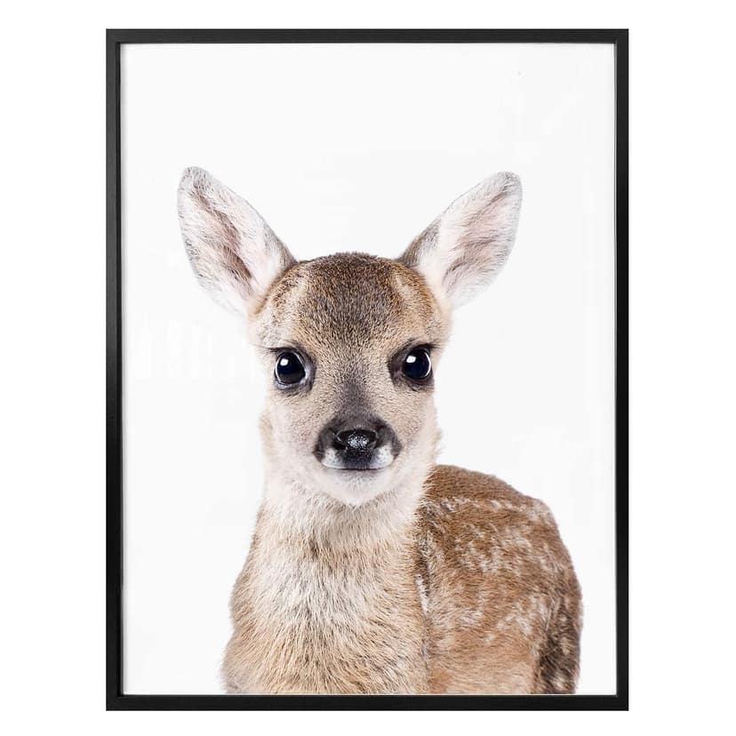 Poster Sisi & Seb - Fawn