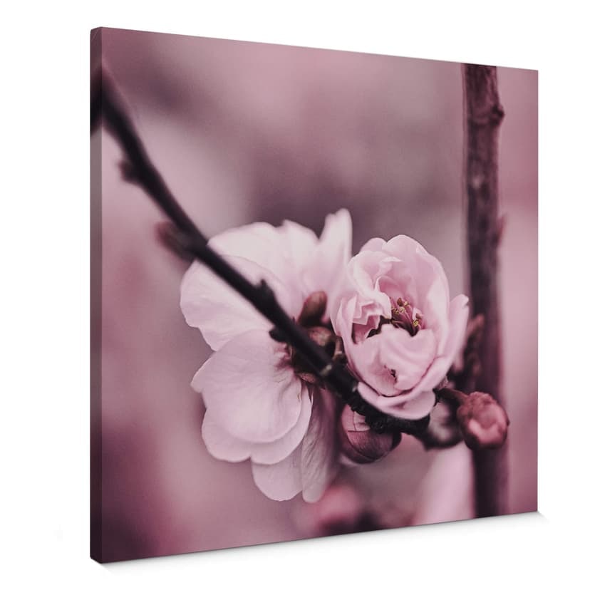 Canvastavla blomknoppar - Fyrkant
