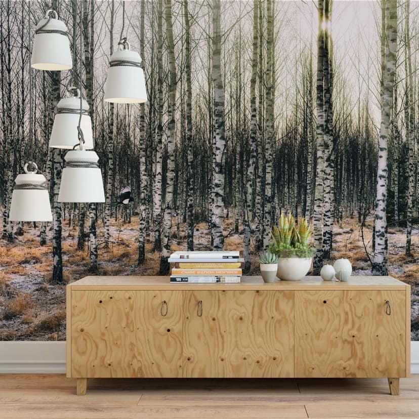 Fototapet - Olsen - Solsken i björkskogen