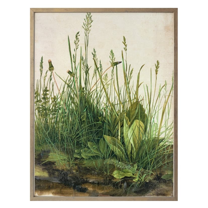 Poster Dürer - Den stora grässtumpen