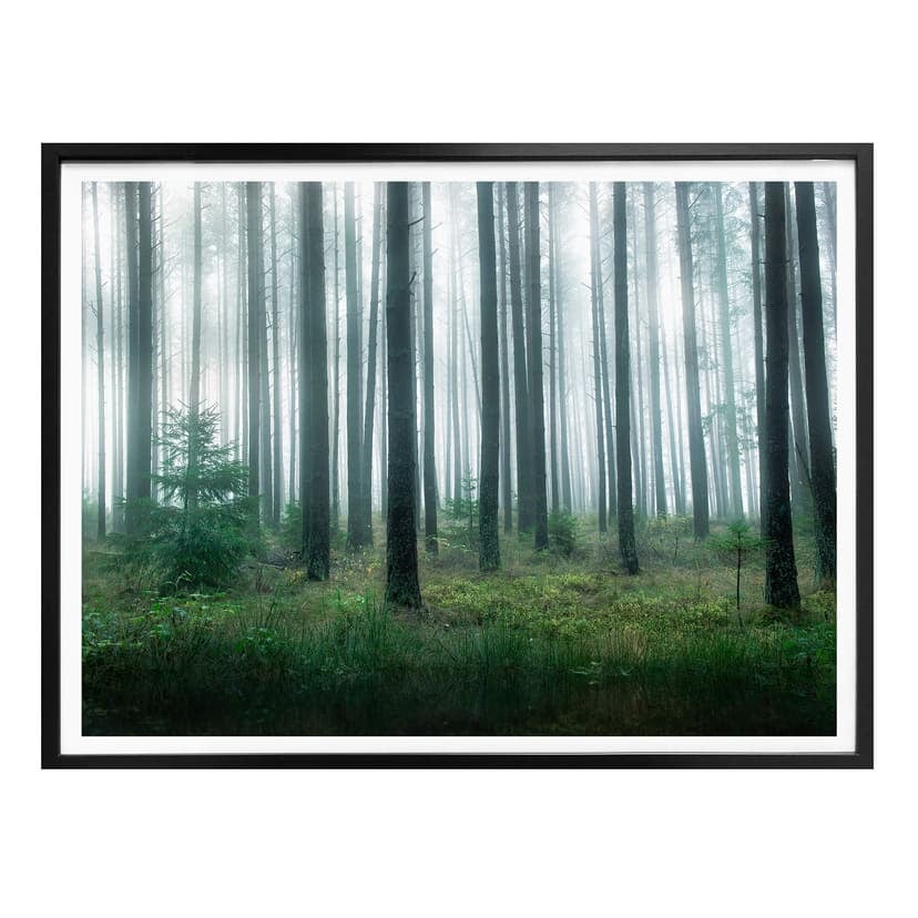 Poster Lindsten - I skogen