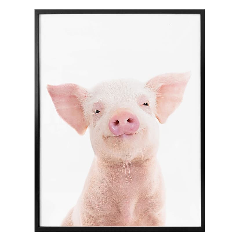 Poster Sisi & Seb - Piglet