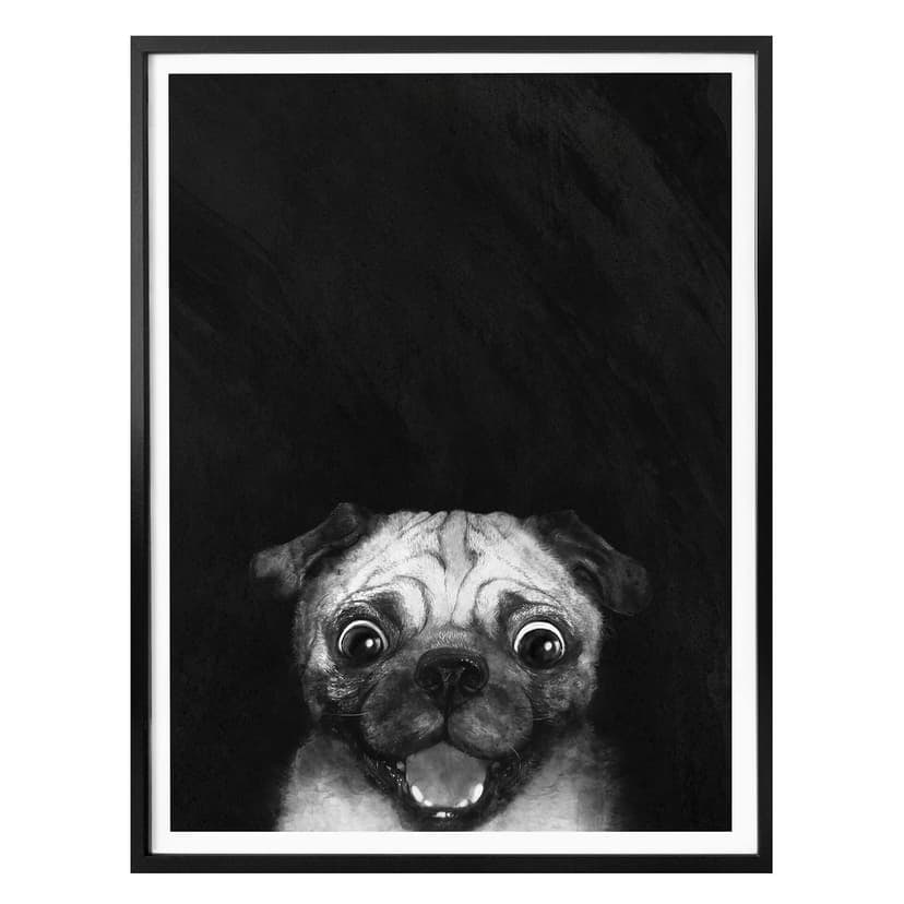 Poster Graves - Snuggle Pug