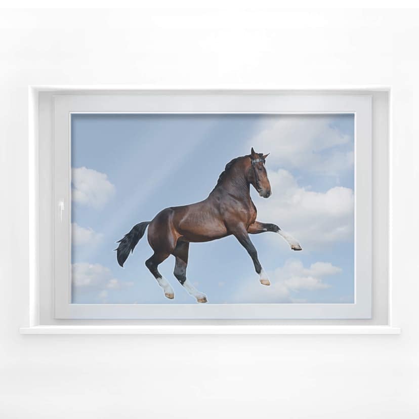 Fönsterbild Real acting Horse
