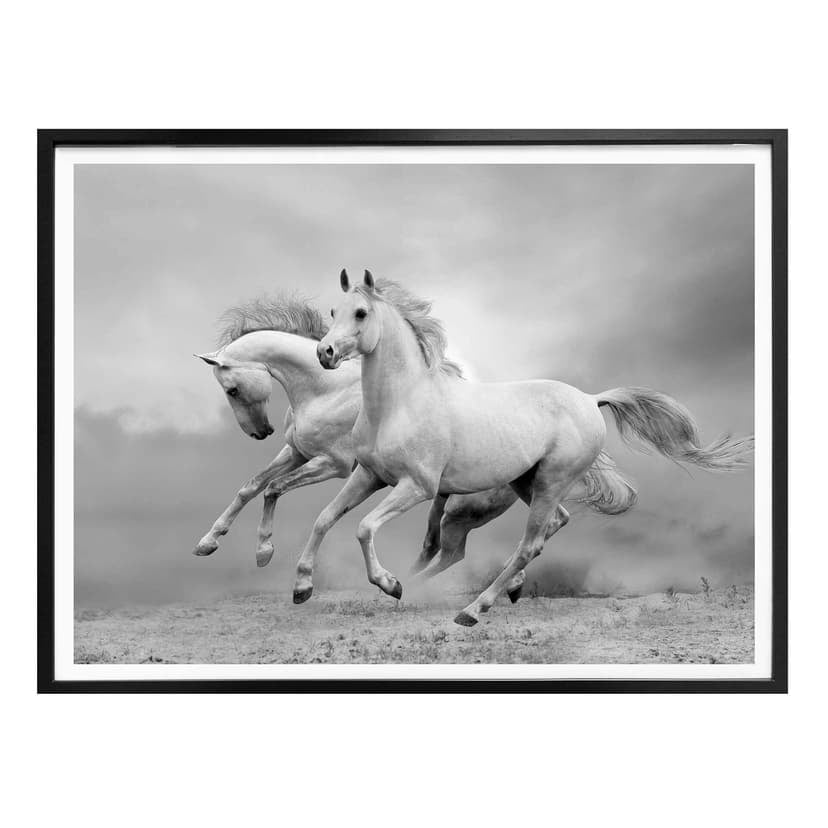 Poster Hästar i galopp