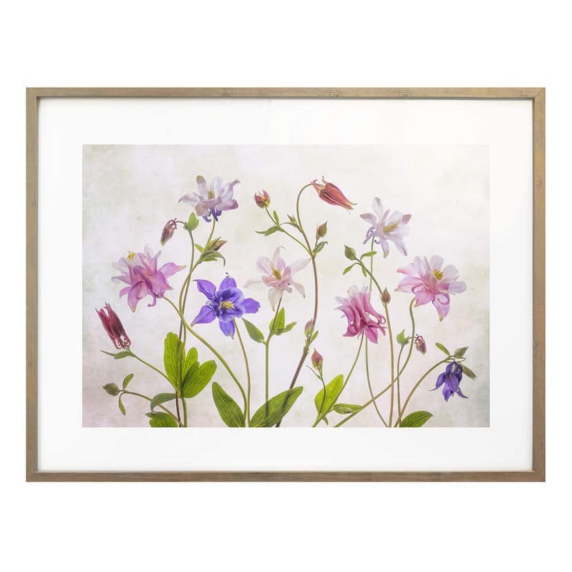 Poster Disher - The Bouquet