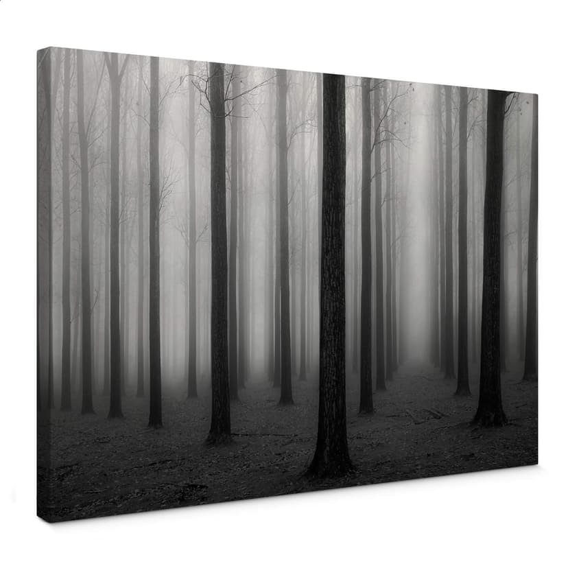 Canvastavla Bongaerts - Dimma i skogen