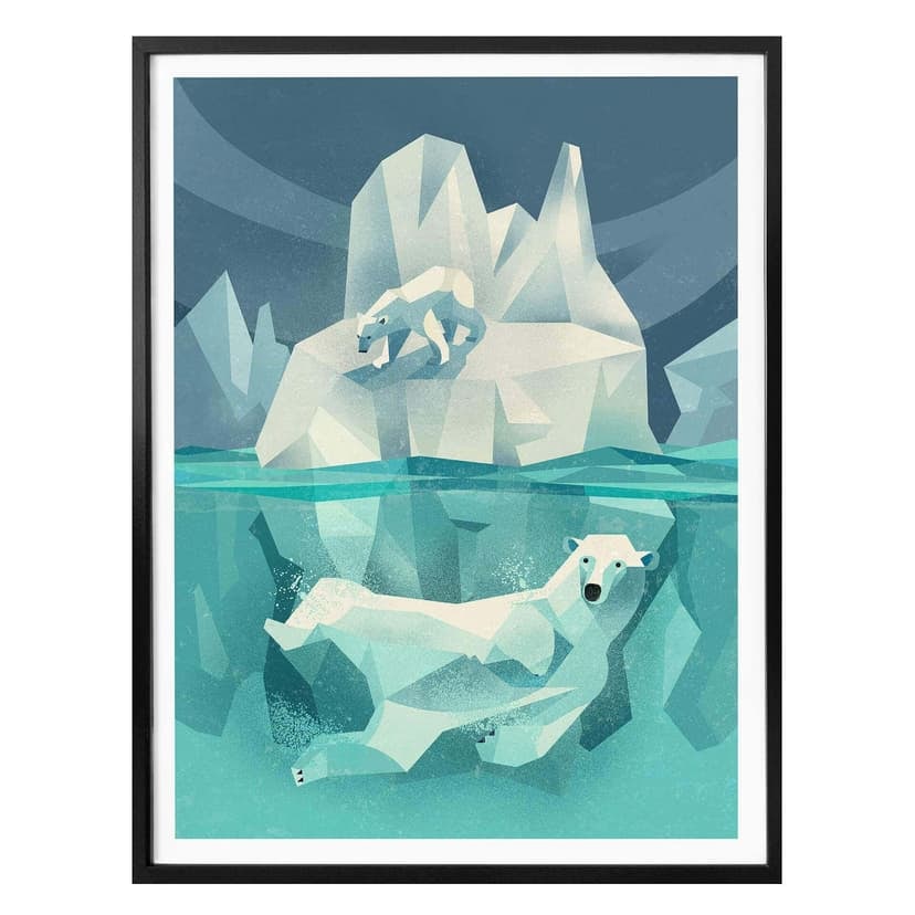 Poster Brun - Isbjörn