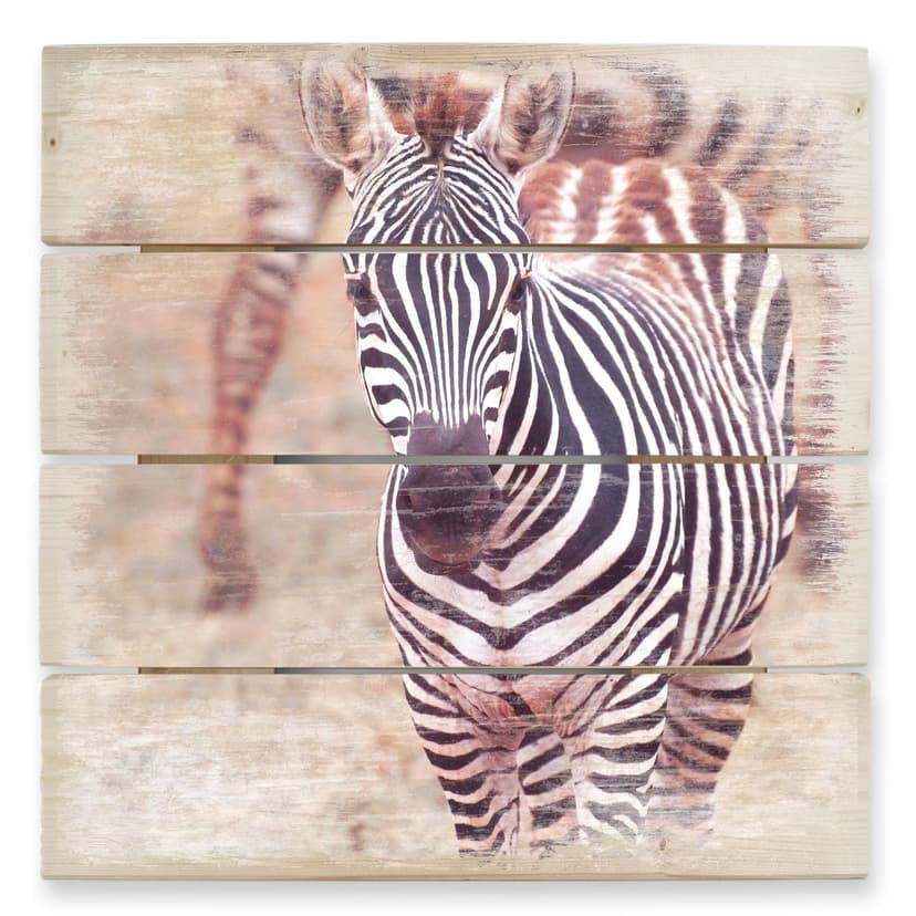 Trätavla zebra föl - 40x41,5 cm