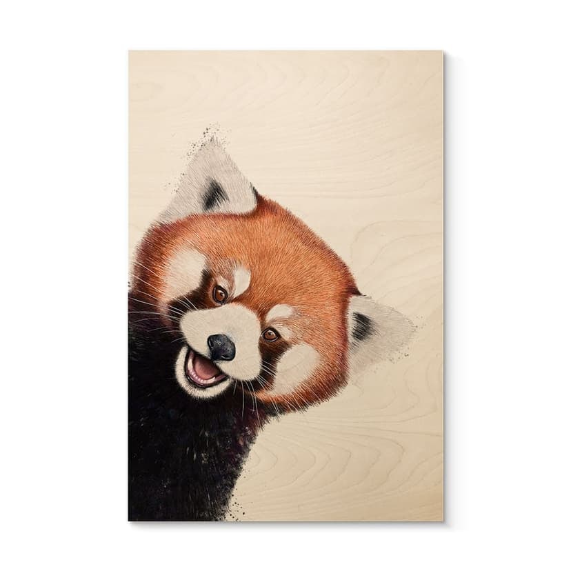 Träposter Röd Panda - Korenkova