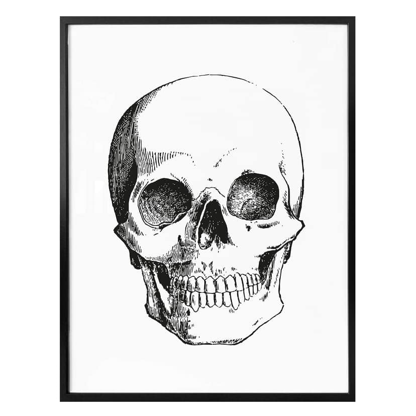 Poster - Människoskalle
