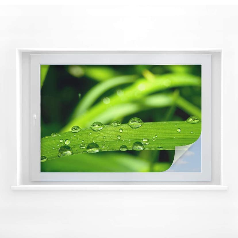 Sekretessfilm natur 5
