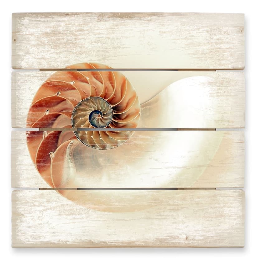 Trätavla Nautilus - 40x41,5 cm