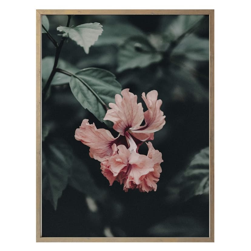 Poster tropisk blomma