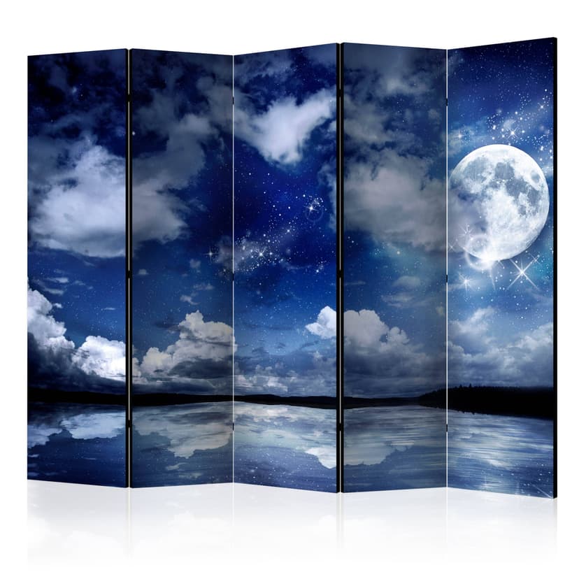 Paravent, Raumteiler freistehend, Trennwand - Magic Night II, 5-teilig - einseitig bedruckt - 225x1