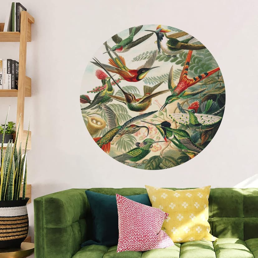 Wallsticker Haeckel - Kolibrier - Rund