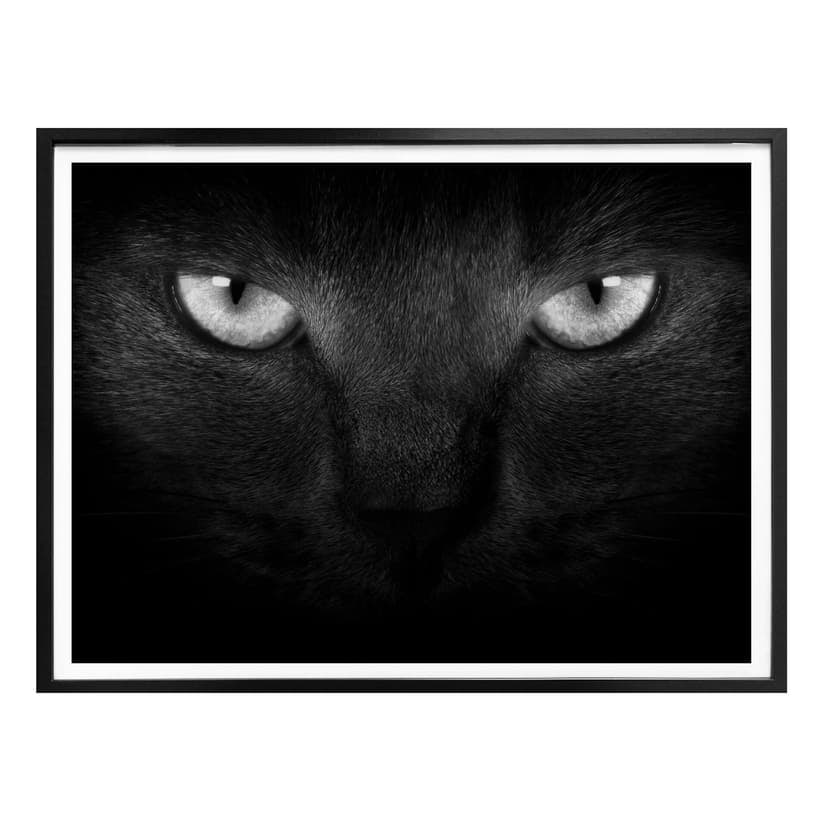 Poster Kattens ögon - svart/vit