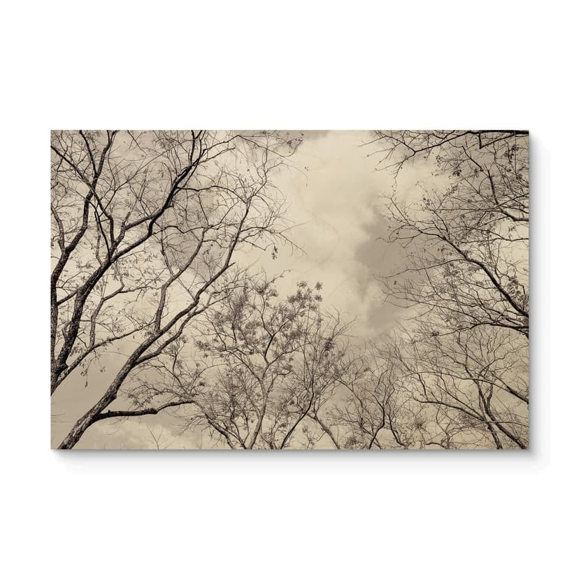 Träposter trädtoppar i himlen