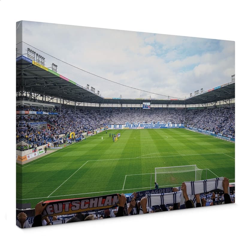 Canvastavla 1. FC Magdeburg - Stadium Choreo