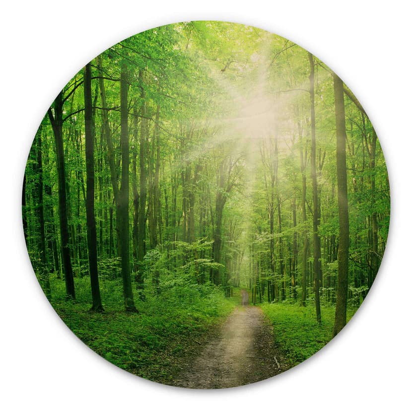 Trätavla - Solig skog - Rund
