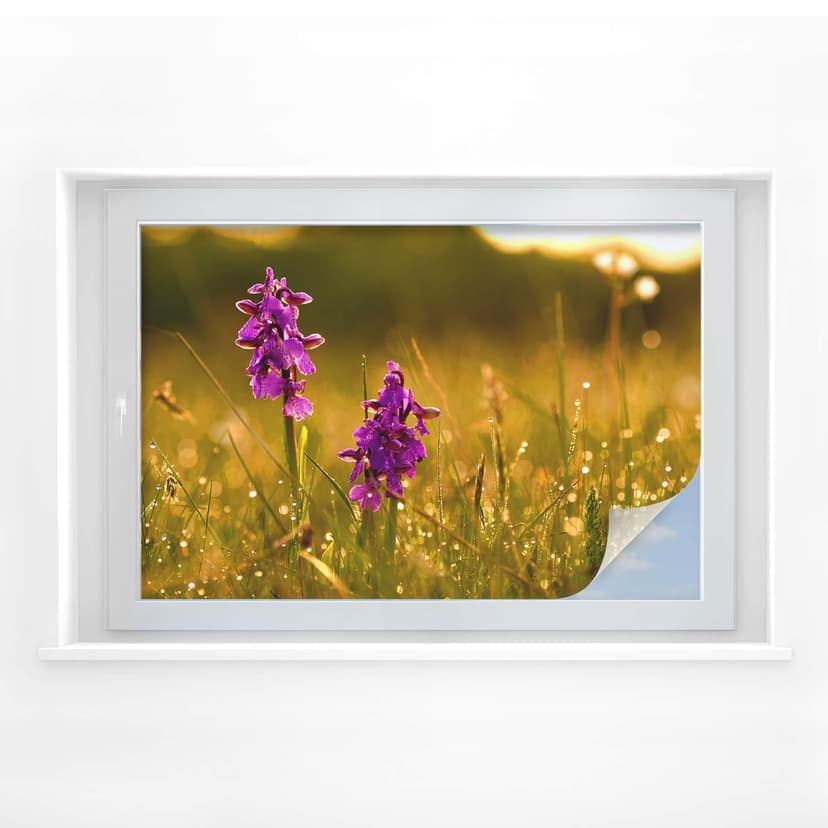 Sekretessfilm Blommor i morgondaggen