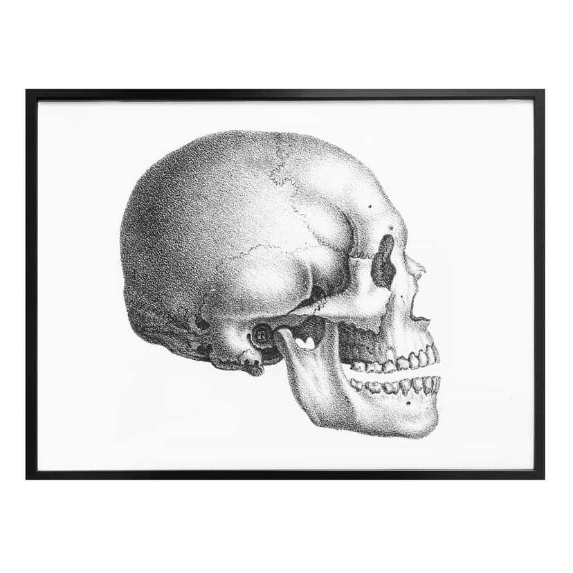 Poster Skull 01