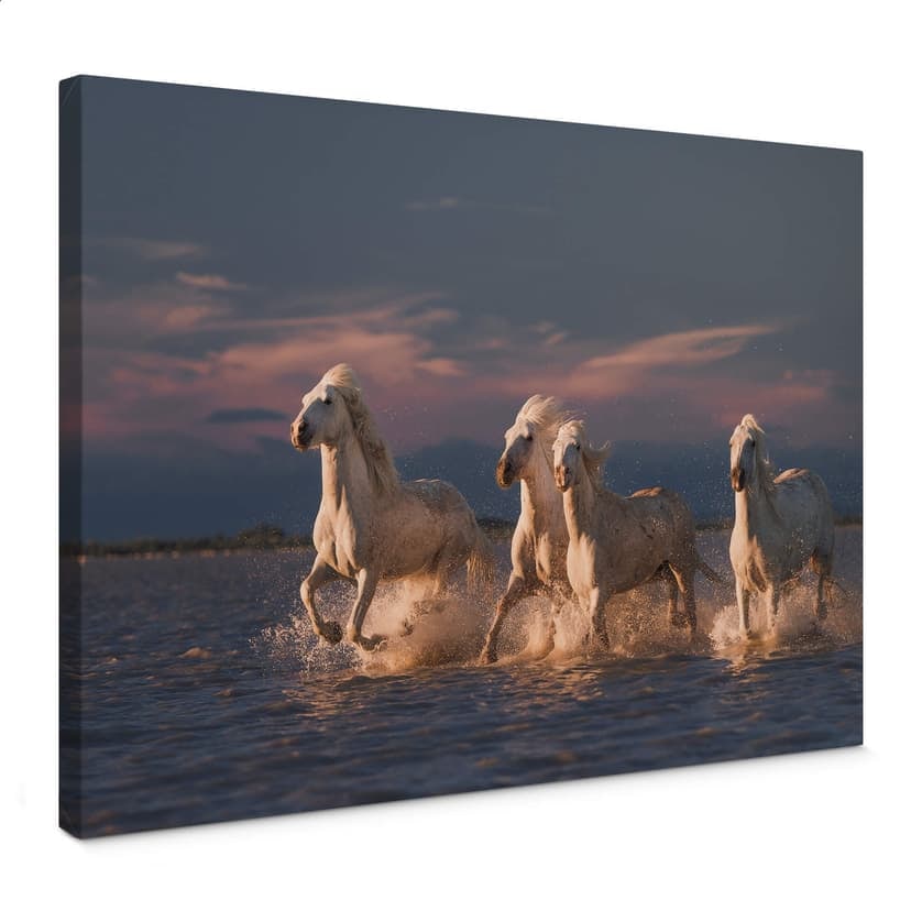 Canvastavla Rostovskiy - Änglar från Camargue