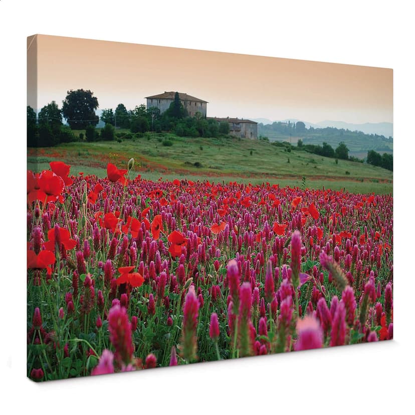 Canvastavla blomma äng Toscana