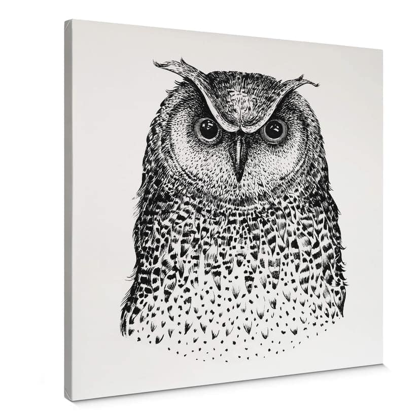 Canvas Kvilis - Uggla 01