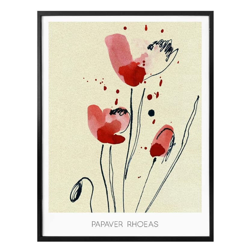 Poster Papaver Rhoeas