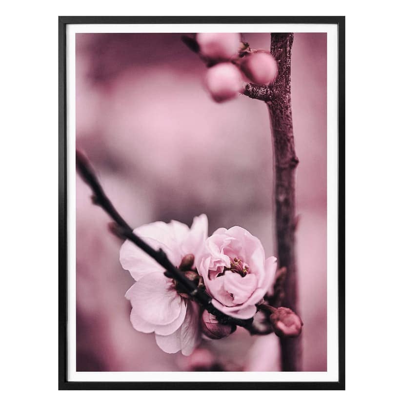 Poster med blomknoppar