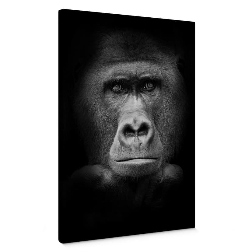 Gorilla Canvastavla