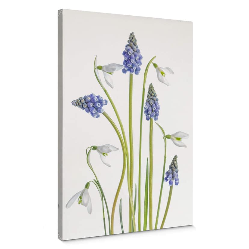 Disher Canvastavla - Vårblommor