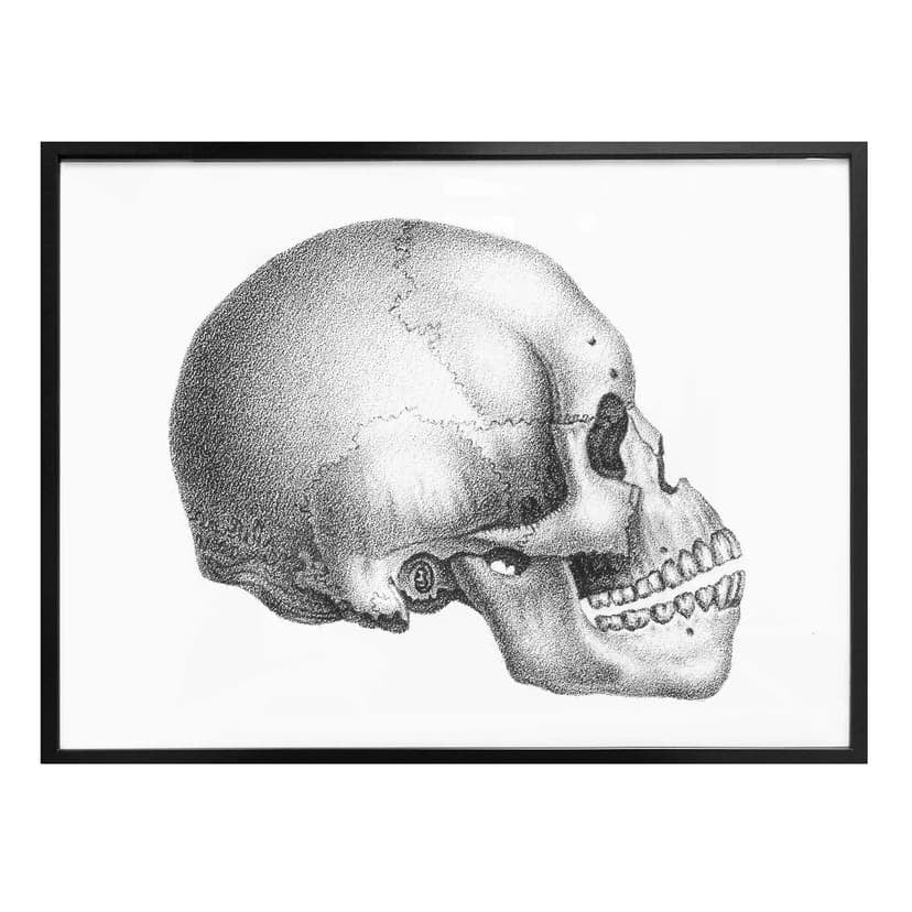 Poster Skull 02