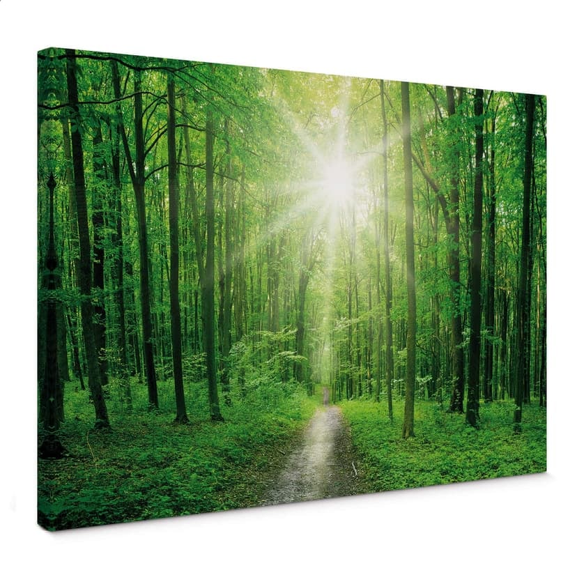 Canvastavla Sunny Forest 01